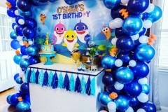 47d8811d9a89073f296113b6c0c6c73b